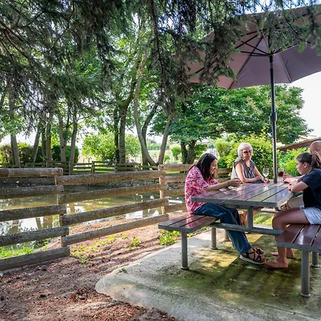 Campsite Camper Au Moulin De La Brevette Arbigny
